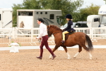 SBM_01067
