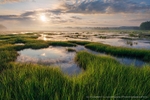 Sunblast Swamscott Marsh