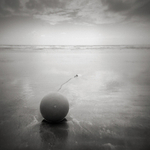 Waiting Game, Black Rock Sands