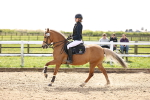 SBM_002503