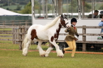 SBM_06035