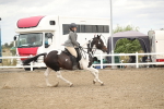 SBM_16628