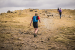 Newlands  TWA-1106