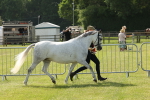 SBM_00777