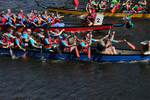 THE YORK ROTARY DRAGON BOAT CHALLENGE 2026 - 46 of 426