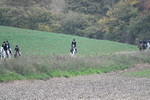 WJ7_9126