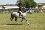 SBM_05352