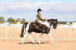 SBM_13467