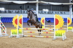 SBM_001297