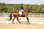 SBM_015066