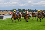 160724-Race 4-Jack Of Clubs-8997