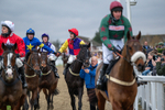 161125-Race 5-Alexei-1793