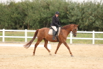 SBM_00536
