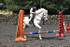 SNCP_0079