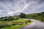 Moorland Lane