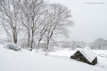 First snow of Winter