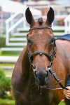 140723-Race 4-Andaleep-0435