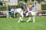 SBM_47016