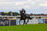 160724-Race 1-Coto De Caza-8235