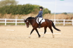 SBM_001310