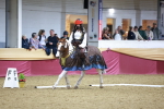 SBM_10392