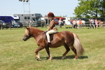 SBM_05332