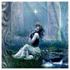 Midsummer Night's Dream