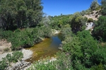 Rio Hozgarganta, Los Alcornocales, Andalucia, Spain