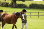 S39 - Junior Handler 8  Years & Under portfolio