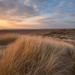 St Annes Sand Dunes.