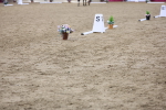 SBM_09420