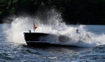 Whippet23-3192
