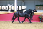 SBM_04383