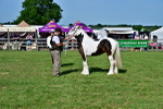 SBM_10032