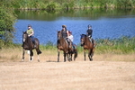 WJ6_7764