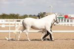 SBM_04521
