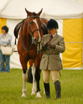 Equestrian Photography portfolio