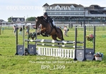 BPP_1309