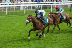 Race 2 2.25pm Weatherbys Hamilton Lonsdale Cup Stakes portfolio