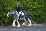 WJ5_9077