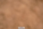 240506A-084010-07773