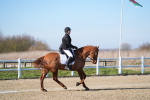 SBM_003370