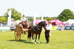 SBM_06668