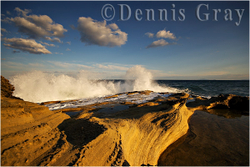 Gallery portfolio