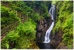 The Cascading Waterfall, Glenariff (IMG1127)