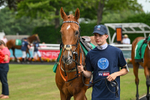 250725-Graham Lee IJF Stable Staff Stakes-B-3276