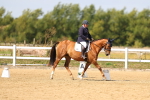 SBM_011951