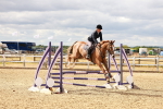 SBM_004887