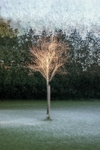 IMG_1103 v2