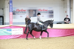 SBM_02407